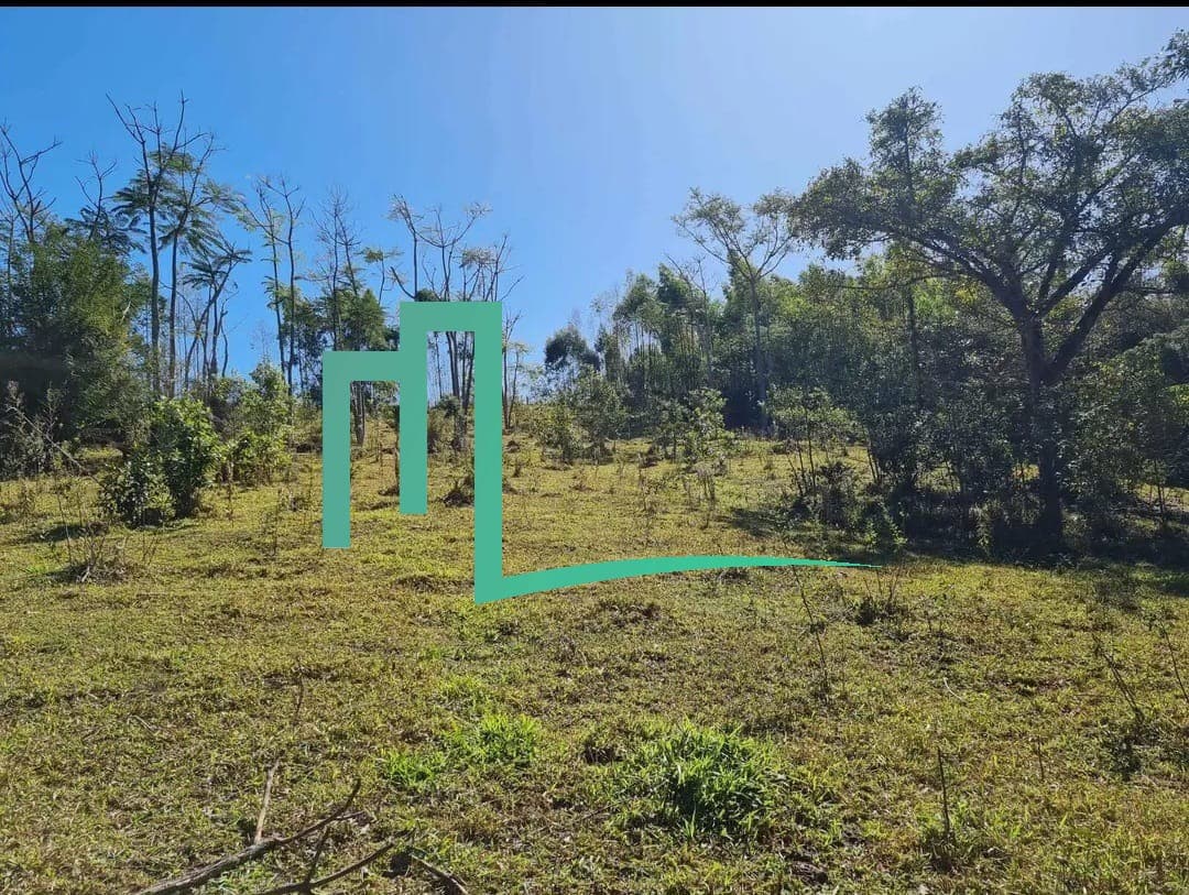 EXCELENTE OPORTUNIDADE SÍTIO Á VENDA EM CAPETINGA/MG - 02 alqueires - Sitio á 10 KM de Capetinga - 1,5 KM da estrada