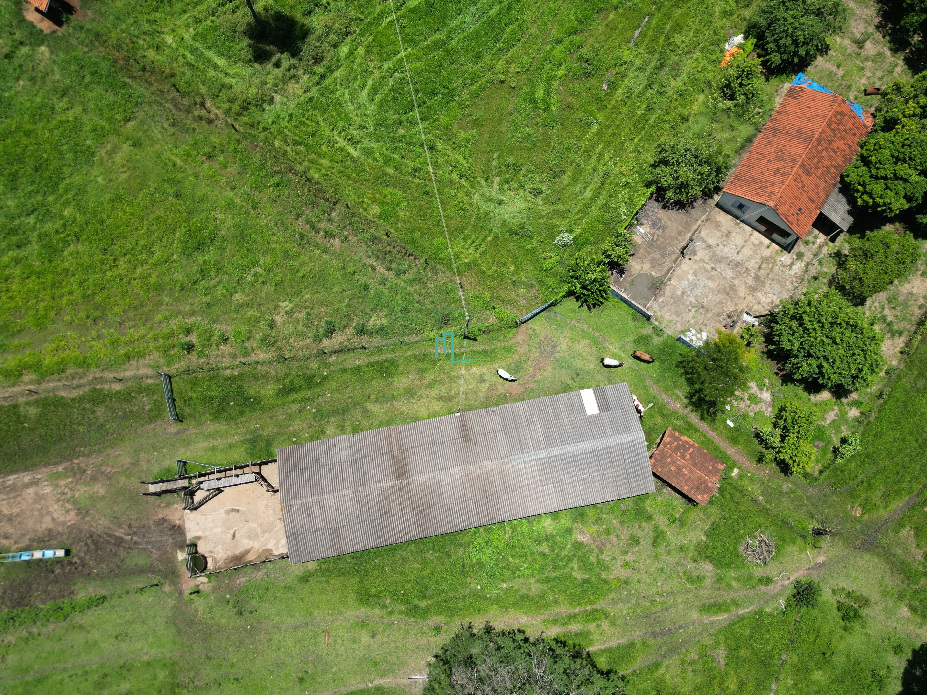 SÍTIO DE 24,99 ALQUEIRES (60,49 hectares) em RIFAINA/SP COM ESTRUTURA COMPLETA, 03 CASAS SIMPLES, E MUITA ÁGUA.. - 8 q