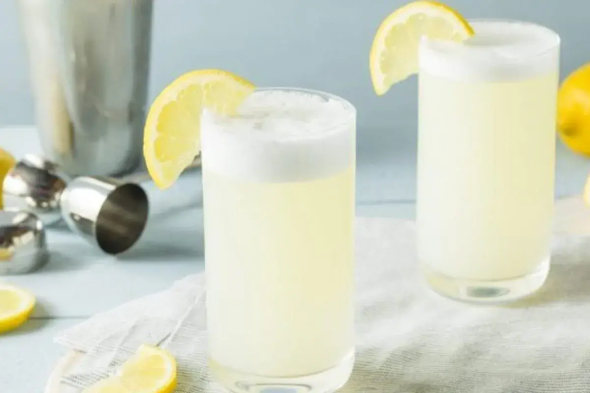 Gin Fizz o Drink Secular Super Prático e Delicioso