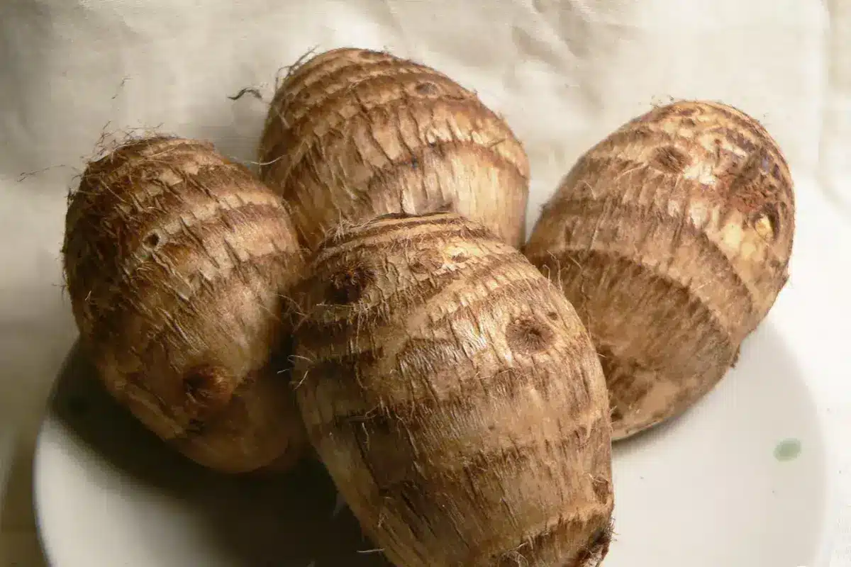 Como Cozinhar Inhame no Microondas Descubra o Segredo